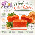 Mint Condition | Handmade Cold Process Soap